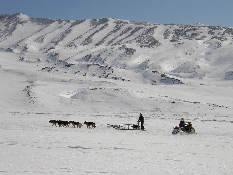 Adventure  on dog-sleds  to the upper  part  of  the river  Kitilgina  of  Milkovsky district, Central Kamchatka