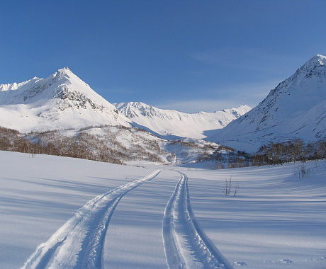 Unforgettable  winter  Kamchatka